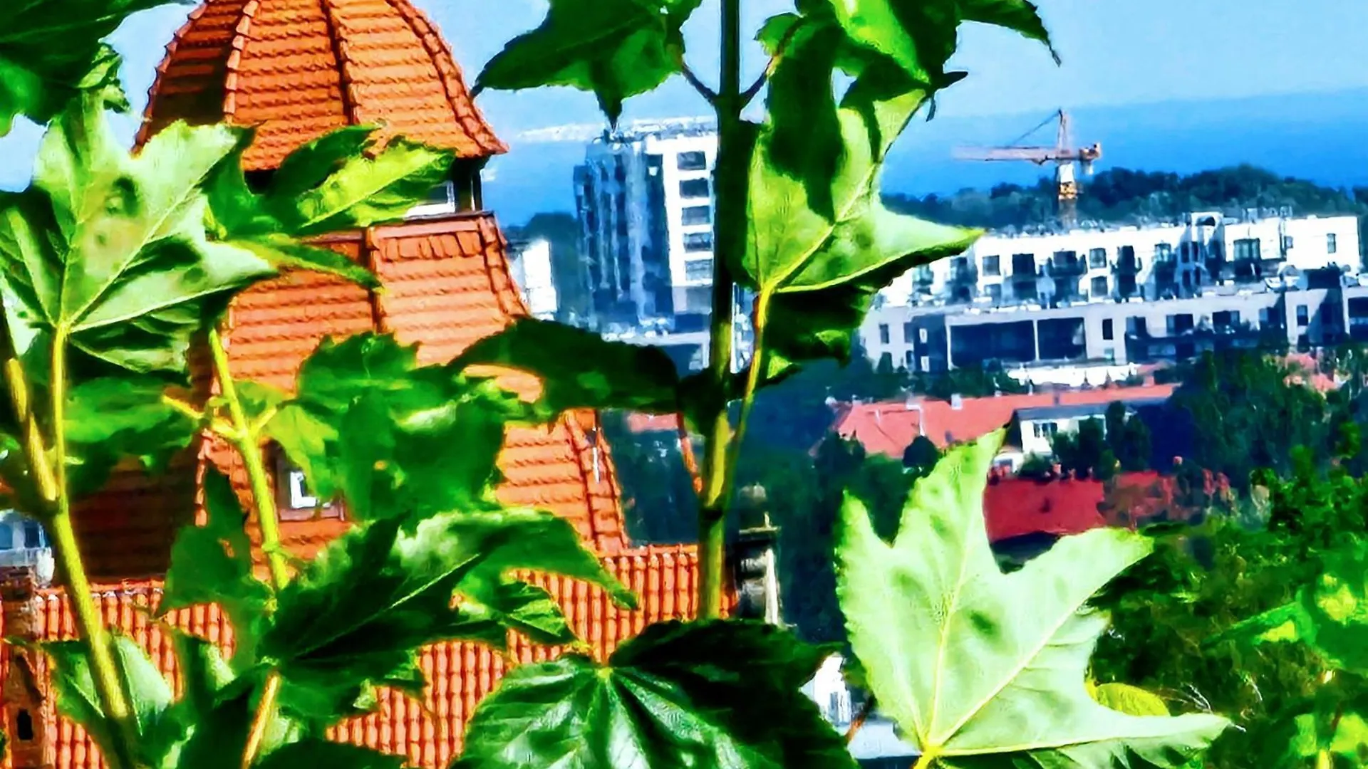 Tanie Noclegi W Gdansku Wrzeszczu Poland